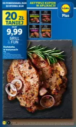Gazetka promocyjna Lidl - GAZETKA - Gazetka - ważna od 30.04 do 30.04.2024 - strona 6 - produkty: Gra, Olej