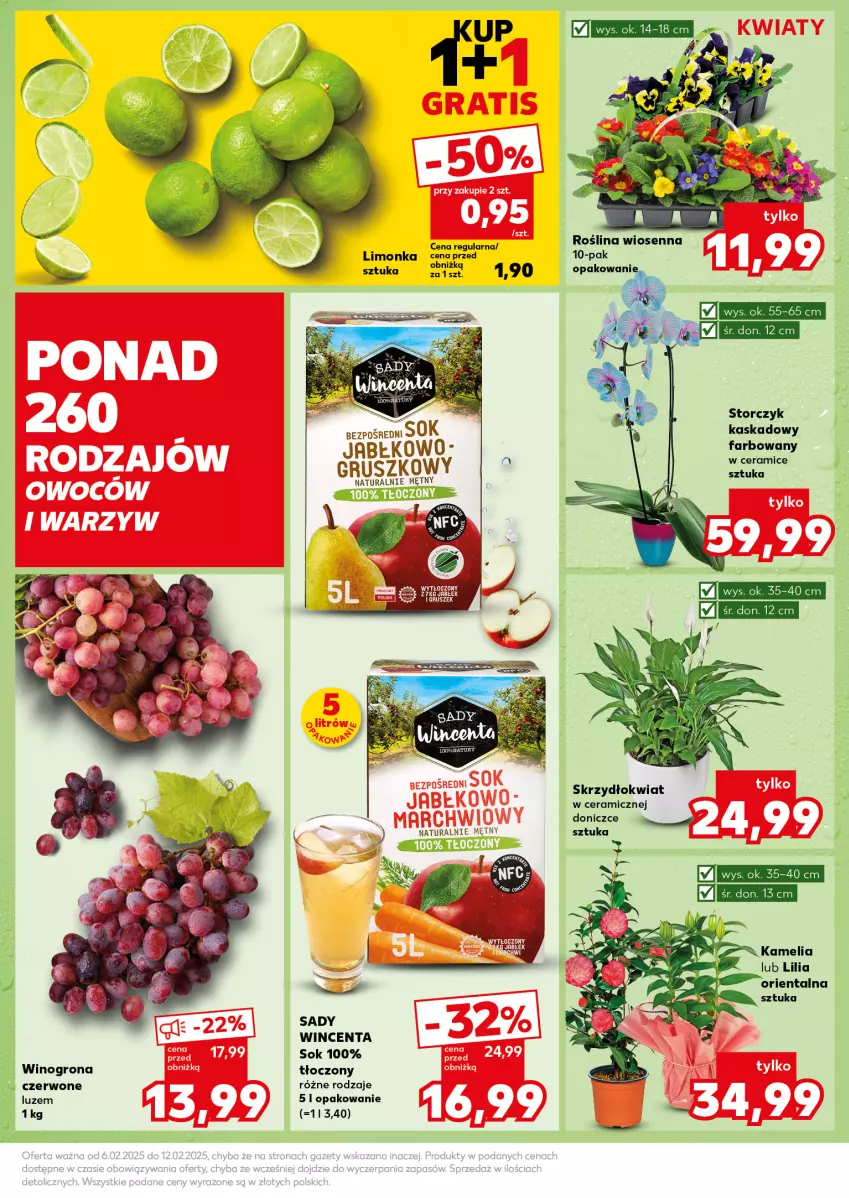 Gazetka promocyjna Kaufland - Mocny Start - ważna 10.02 do 12.02.2025 - strona 19 - produkty: Fa, Kask, Limonka, Sok, Storczyk, Wino, Winogrona