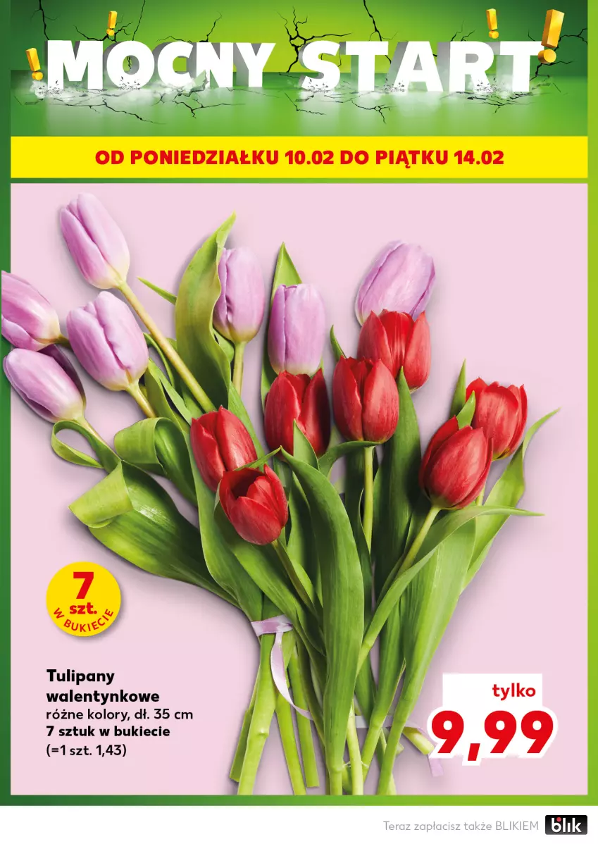 Gazetka promocyjna Kaufland - Mocny Start - ważna 10.02 do 12.02.2025 - strona 2 - produkty: Tulipan