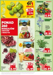 Gazetka promocyjna Kaufland - Mocny Start - Gazetka - ważna od 12.02 do 12.02.2025 - strona 19 - produkty: Sok, Kask, Storczyk, Winogrona, Limonka, Wino, Fa