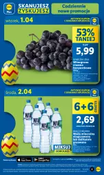 Gazetka promocyjna Lidl - GAZETKA - Gazetka - ważna od 02.04 do 02.04.2025 - strona 3 - produkty: Nałęczowianka, Gra, Winogrona, Woda mineralna, Woda, Wino
