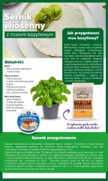 Gazetka promocyjna Carrefour - Gazetka Wielkanocne przepisy - Gazetka - ważna od 06.04 do 06.04.2026 - strona 12 - produkty: Piec, Ciastka, Sok, Ser, Mus, Twaróg, Blender, Ksylitol, Mascarpone, Serek, Sitko, Bazyl, Szklanka, Piekarnik