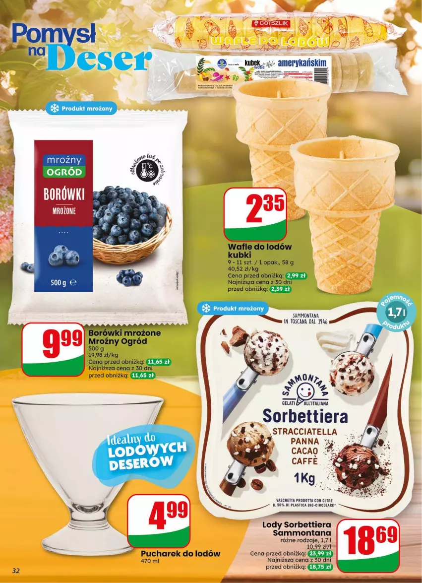 Gazetka promocyjna Dino - Gazetka 34 / 2026 - ważna 19.08 do 25.08.2026 - strona 32 - produkty: Lody, Ogród