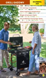Gazetka promocyjna Lidl - GAZETKA - Gazetka - ważna od 27.04 do 27.04.2025 - strona 19 - produkty: Grill, Grill gazowy