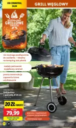 Gazetka promocyjna Lidl - GAZETKA - Gazetka - ważna od 27.04 do 27.04.2025 - strona 22 - produkty: Silan, Grill, Pokrywa