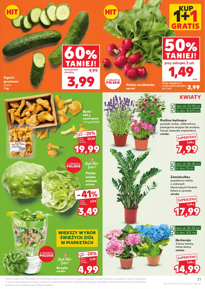 Gazetka promocyjna Kaufland - Gazetka tygodnia - ważna 12.06 do 17.06.2025 - strona 21 - produkty: Bazyl, Bazylia, Gra, Grunt, Rzodkiewka, Sałat, Sałata lodowa