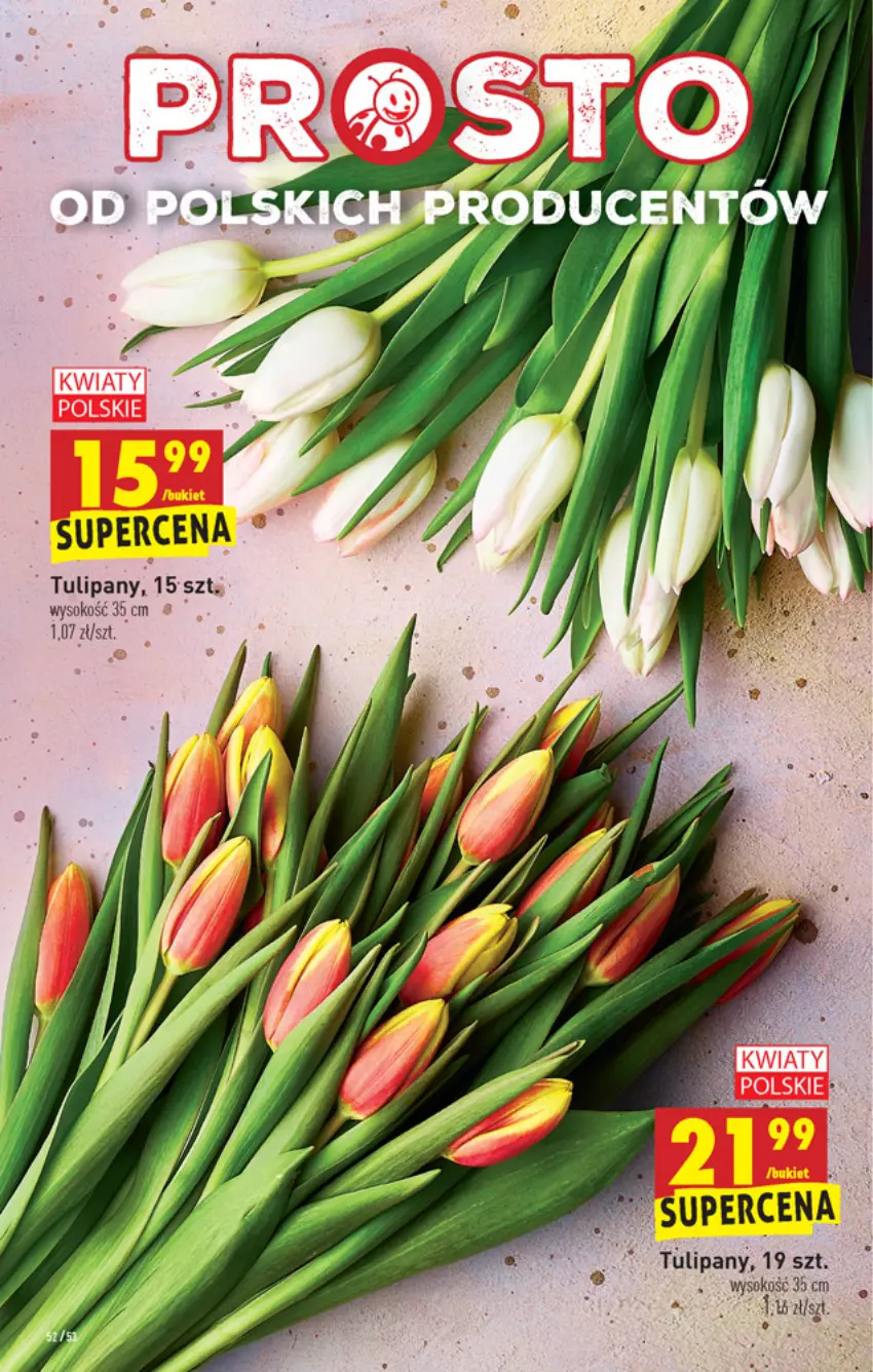 Gazetka promocyjna Biedronka - W tym tygodniu - ważna 15.04 do 21.04.2021 - strona 52 - produkty: Sok, Tulipan