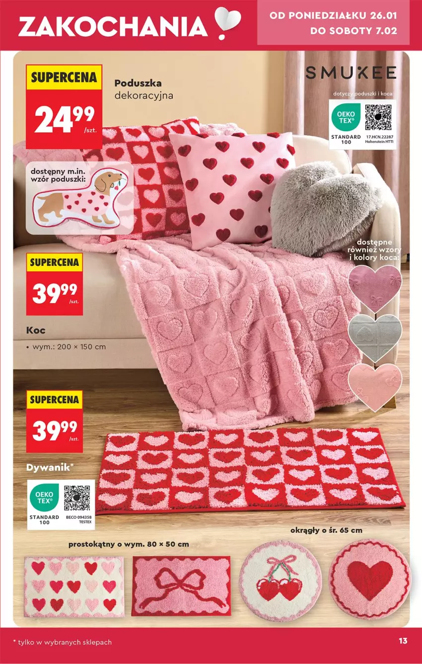 Gazetka promocyjna Biedronka - Okazje Tygodnia - ważna 24.01 do 07.02.2026 - strona 15 - produkty: AEG, Fa, Poduszka, Poduszka dekoracyjna, Por