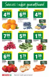 Gazetka promocyjna Spar - Spar - Gazetka - ważna od 15.10 do 15.10.2025 - strona 2 - produkty: Cebula czerwona, Cebula, Papryka, Ogórek, Wino, Grunt, Rzodkiewka