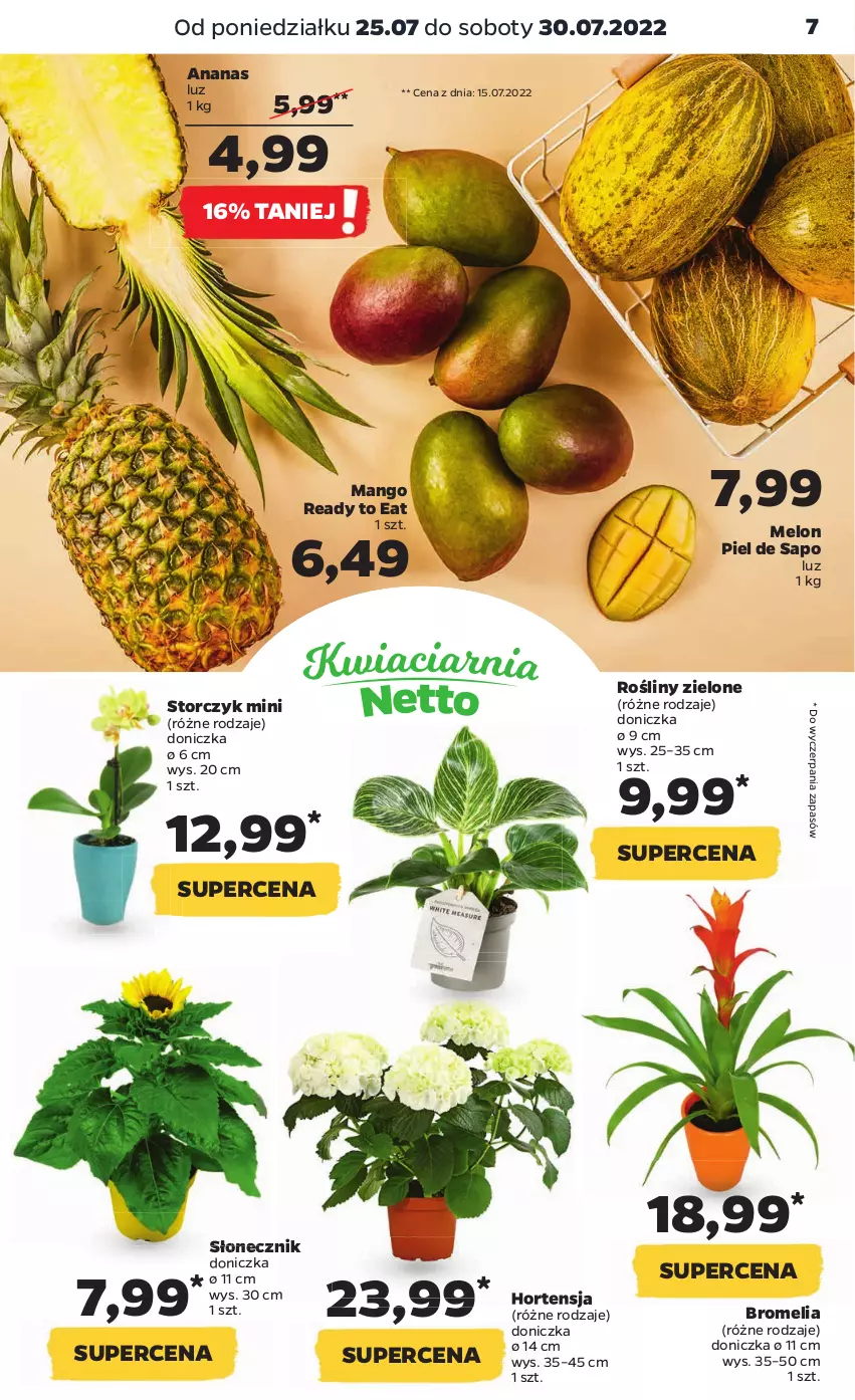 Gazetka promocyjna Netto - Artykuły spożywcze - ważna 25.07 do 30.07.2022 - strona 7 - produkty: Ananas, Bromelia, Mango, Melon, Storczyk