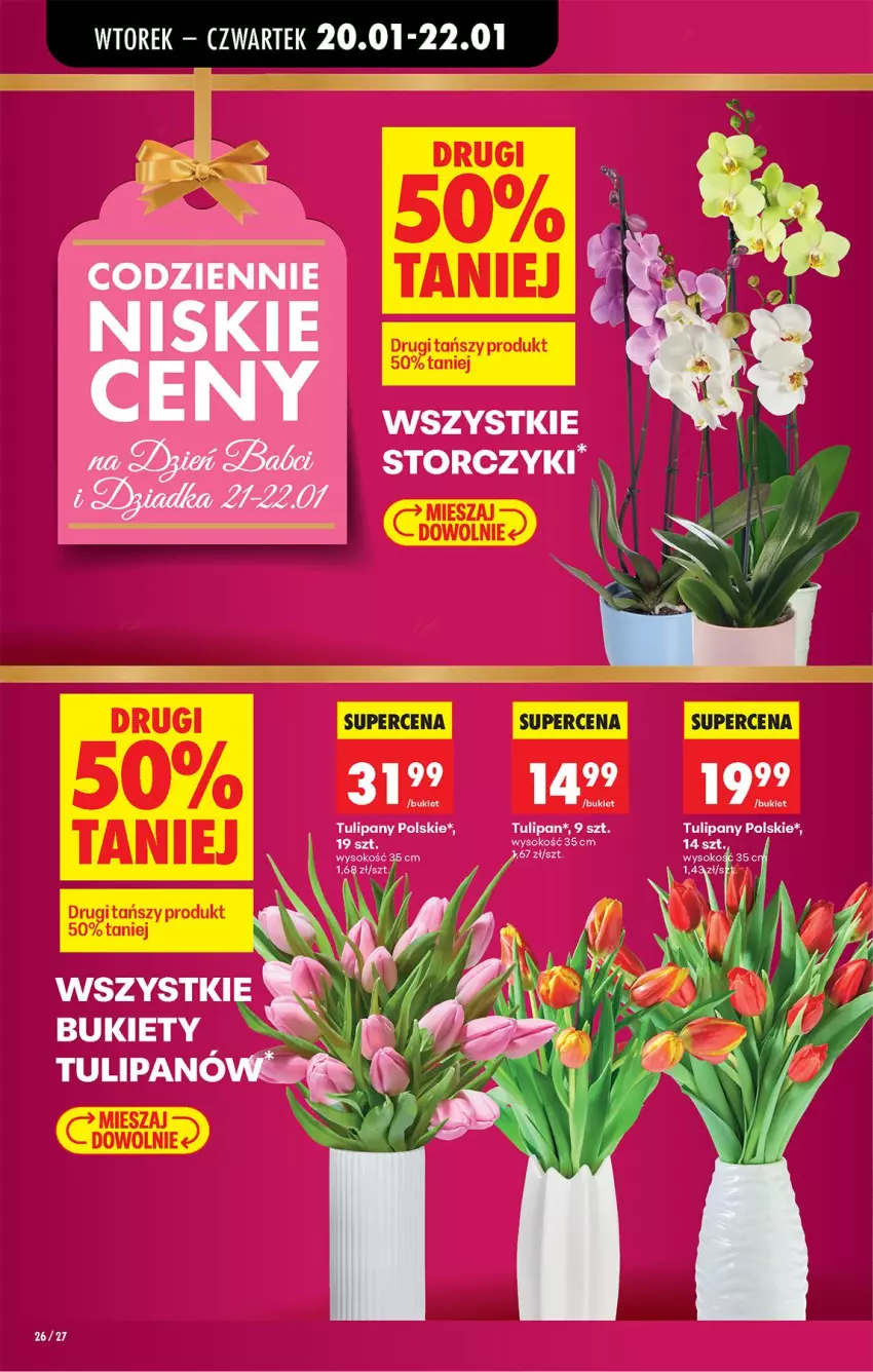 Gazetka promocyjna Biedronka - Gazetka - ważna 19.01 do 26.01.2026 - strona 28 - produkty: Sok, Storczyk, Tulipan