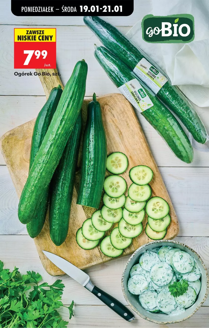 Gazetka promocyjna Biedronka - Gazetka - ważna 19.01 do 26.01.2026 - strona 33 - produkty: Ogórek