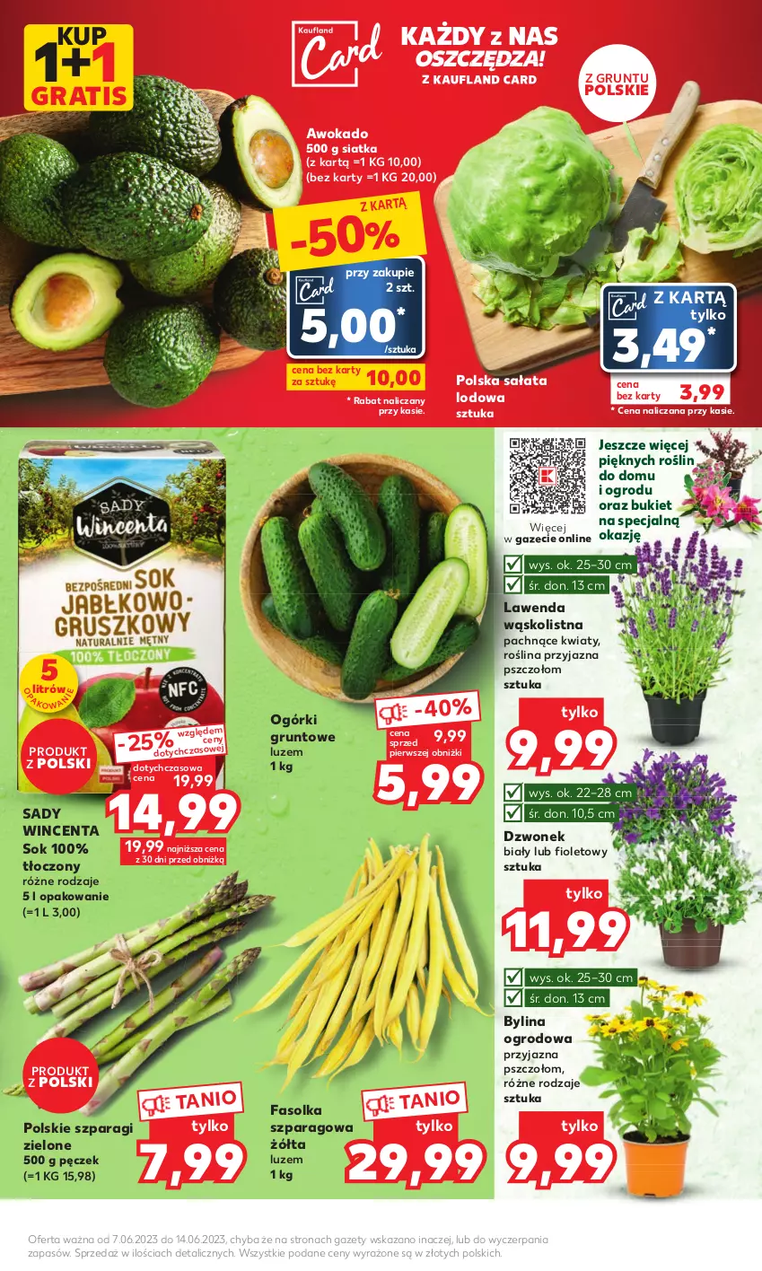 Gazetka promocyjna Kaufland - Mocny Start - ważna 12.06 do 14.06.2023 - strona 5 - produkty: Bukiet, Dzwonek, Fa, Gra, Grunt, Sałat, Sałata lodowa, Siatka, Sok