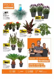 Gazetka promocyjna Obi - Gazetka OBI - Gazetka - ważna od 28.06 do 28.06.2022 - strona 4 - produkty: Sok, Pur, Róża