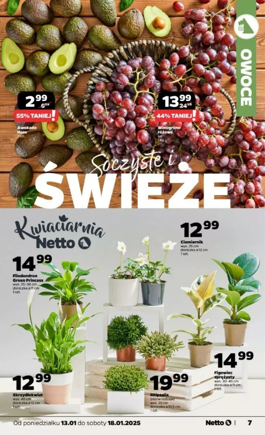 Gazetka promocyjna Netto - ważna 13.01 do 18.01.2025 - strona 24