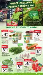 Gazetka promocyjna Intermarche - Gazetka promocyjna - Gazetka - ważna od 17.12 do 17.12.2025 - strona 25 - produkty: Roszponka, Ogórek, Czosnek, Rukola, Siatka, Sałat, Natka pietruszki, Szpinak