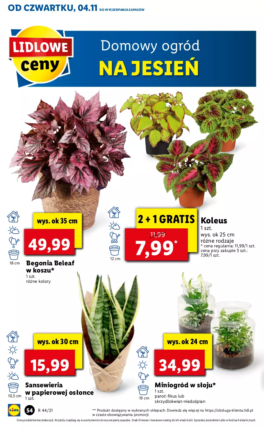 Gazetka promocyjna Lidl - GAZETKA - ważna 04.11 do 07.11.2021 - strona 54 - produkty: Gra, Kosz, Ogród, Papier