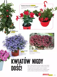 Gazetka promocyjna Bricomarche - Gazetka - Gazetka - ważna od 14.05 do 14.05.2022 - strona 37 - produkty: Mop, Bell, Truskawki, Absolut, Surf, Kask, Ogród