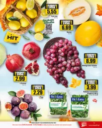 Gazetka promocyjna Topaz - Gazetka - Gazetka - ważna od 04.10 do 04.10.2023 - strona 7 - produkty: Top, Roszponka, Rukola, Sałat, EPEE