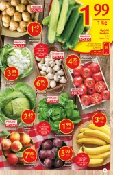 Gazetka promocyjna Delikatesy Centrum - Gazetka Delikatesy Centrum - Gazetka - ważna od 14.07 do 14.07.2021 - strona 13 - produkty: Sałata masłowa, Sałat, Masło