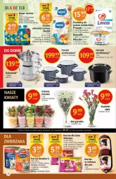 Gazetka promocyjna Delikatesy Centrum - Gazetka Delikatesy Centrum - Gazetka - ważna od 14.07 do 14.07.2021 - strona 28 - produkty: Kurczak, Marchewka, Sos, Sok, Ser, Ryż, Gerber, Garnek, Lovela, Morela, Mleczko, Bukiet, Deser, Gala, Mango, Butcher's