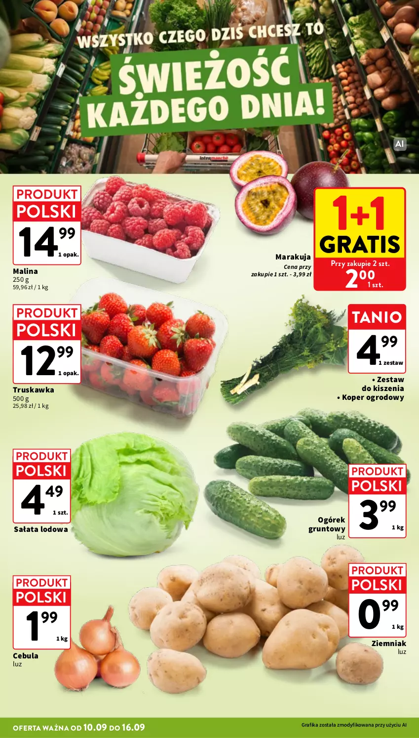 Gazetka promocyjna Intermarche - Gazetka promocyjna - ważna 10.09 do 16.09.2026 - strona 10 - produkty: Cebula, Gra, Grafika, Grunt, Ogórek, Sałat, Sałata lodowa