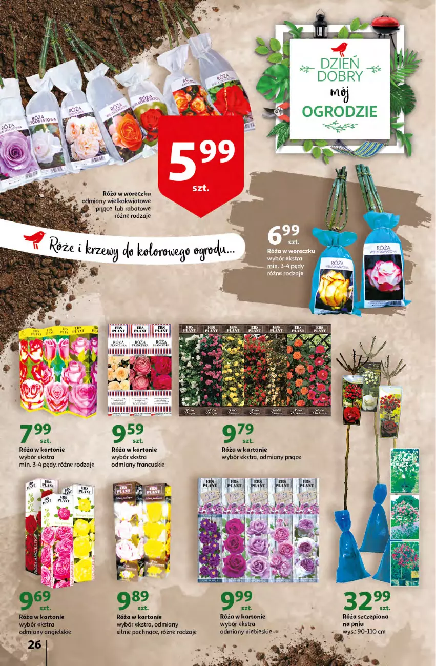Gazetka promocyjna Auchan - przeNISKIE CENY prze smacznego Dnia Kobiet Hipermarkety - ważna 03.03 do 09.03.2022 - strona 26 - produkty: Róża