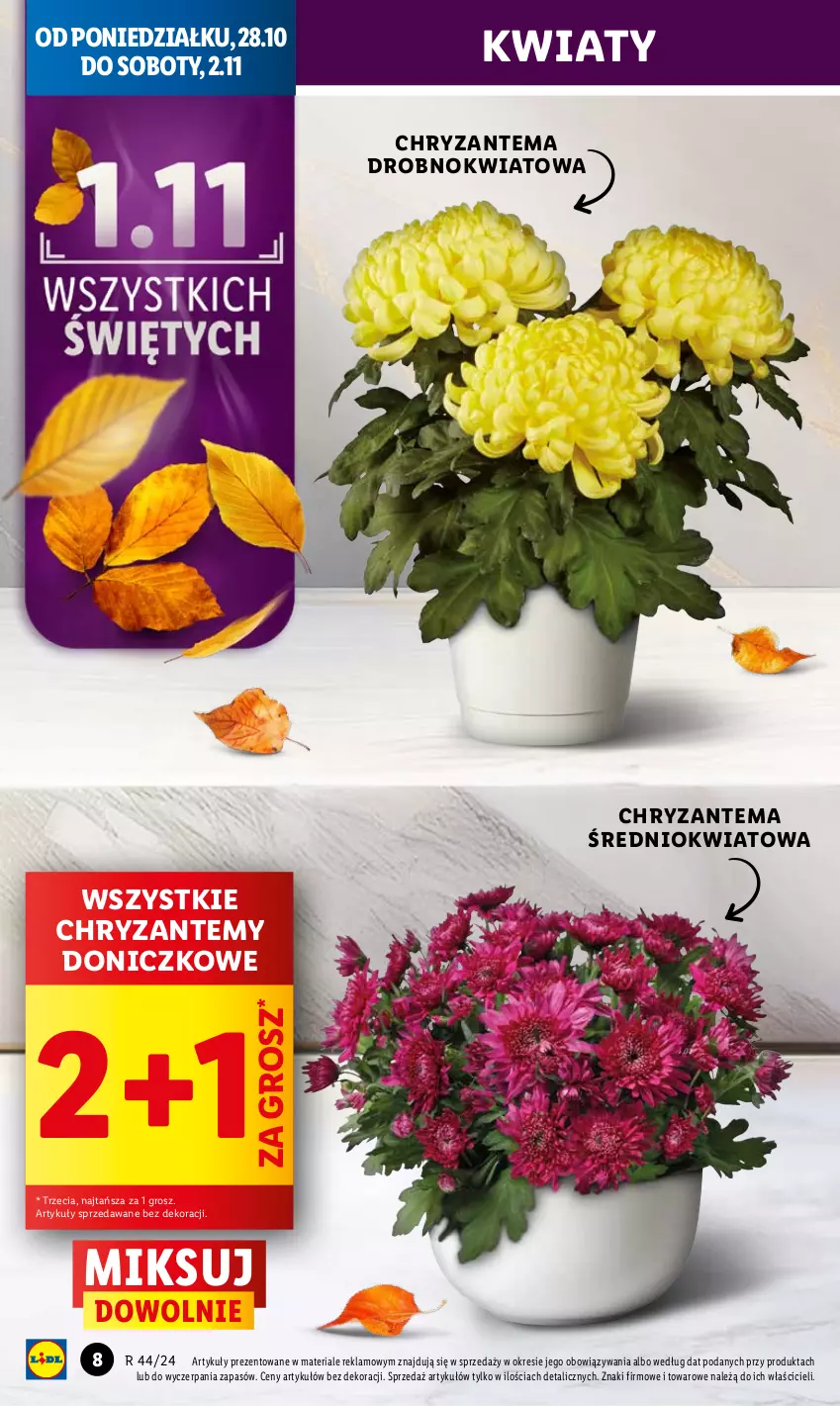 Gazetka promocyjna Lidl - GAZETKA - ważna 28.10 do 29.10.2024 - strona 8 - produkty: Chryzantema