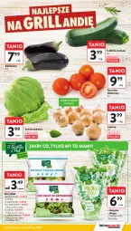 Gazetka promocyjna Intermarche - Gazetka promocyjna - Gazetka - ważna od 09.07 do 09.07.2025 - strona 9 - produkty: Cebula, Por, Sałata lodowa, Sałat, Bazyl, Bazylia, Mięta, Szpinak
