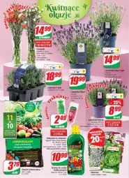 Gazetka promocyjna Dino - Gazetka - Gazetka - ważna od 21.06 do 21.06.2022 - strona 18 - produkty: Sok, Mus, Bukiet, Odżywka, Nawóz