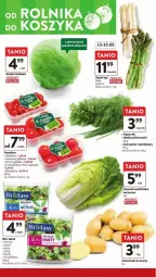 Gazetka promocyjna Intermarche - Gazetka - ważna od 15.05 do 15.05.2024 - strona 4 - produkty: Sałata lodowa, Sałat, Natka pietruszki, Grill, Fa