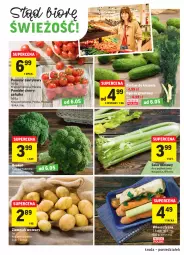 Gazetka promocyjna Intermarche - Promocje - Gazetka - ważna od 10.05 do 10.05.2021 - strona 16 - produkty: Ogórek, Seler naciowy, Grunt