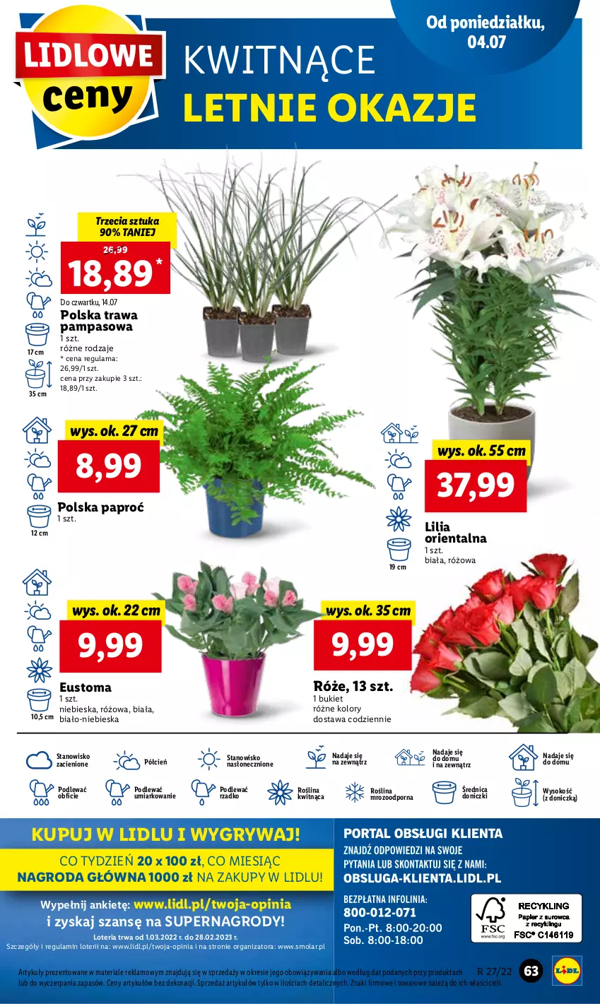 Gazetka promocyjna Lidl - GAZETKA - ważna 04.07 do 06.07.2022 - strona 63 - produkty: Bukiet, Cień, Gry, Mola, O nas, Por, Sok