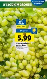 Gazetka promocyjna Lidl - GAZETKA - Gazetka - ważna od 06.07 do 06.07.2022 - strona 7 - produkty: Wino