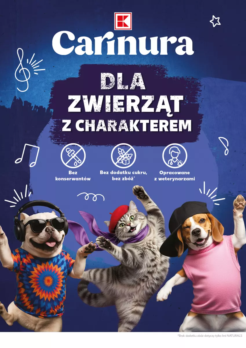 Gazetka promocyjna Kaufland - Mocny Start - ważna 12.01 do 14.01.2026 - strona 22