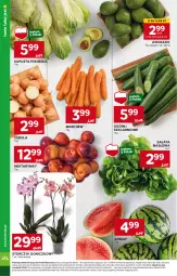 Gazetka promocyjna Stokrotka - Supermarket - Gazetka - ważna od 22.05 do 22.05.2024 - strona 6 - produkty: Cebula, Sałata masłowa, Sałat, Storczyk, Arbuz, Masło, Nektar