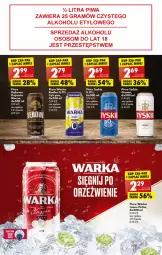 Gazetka promocyjna Biedronka - W tym tygodniu - Gazetka - ważna od 18.09 do 18.09.2022 - strona 47 - produkty: Piwo, Tyskie, Warka, Radler