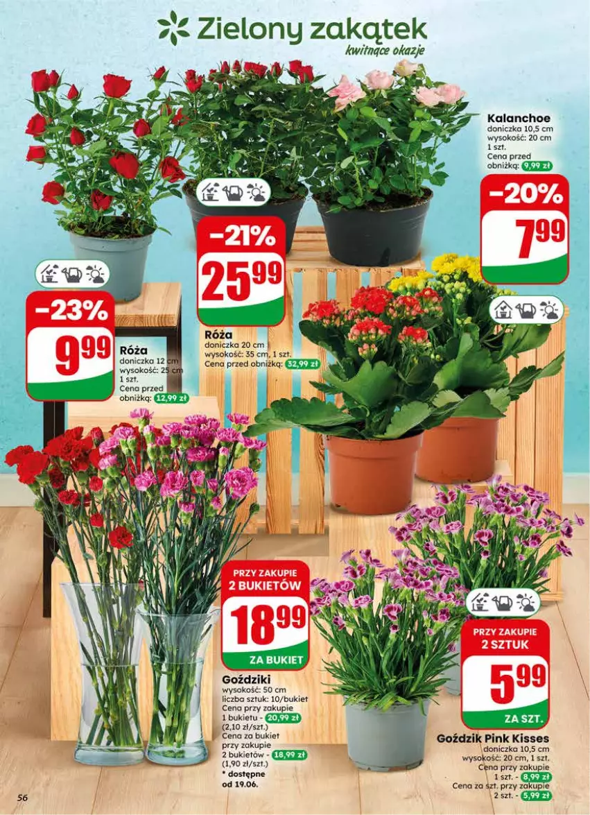 Gazetka promocyjna Dino - Gazetka 25 / 2026 - ważna 17.06 do 23.06.2026 - strona 56 - produkty: Bukiet, Kalanchoe, Róża, Sok