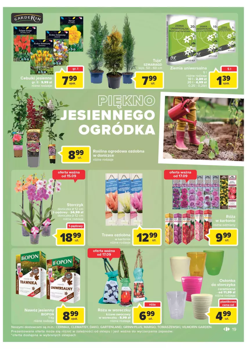 Gazetka promocyjna Carrefour - Gazetka Market - ważna 13.09 do 24.09.2022 - strona 19