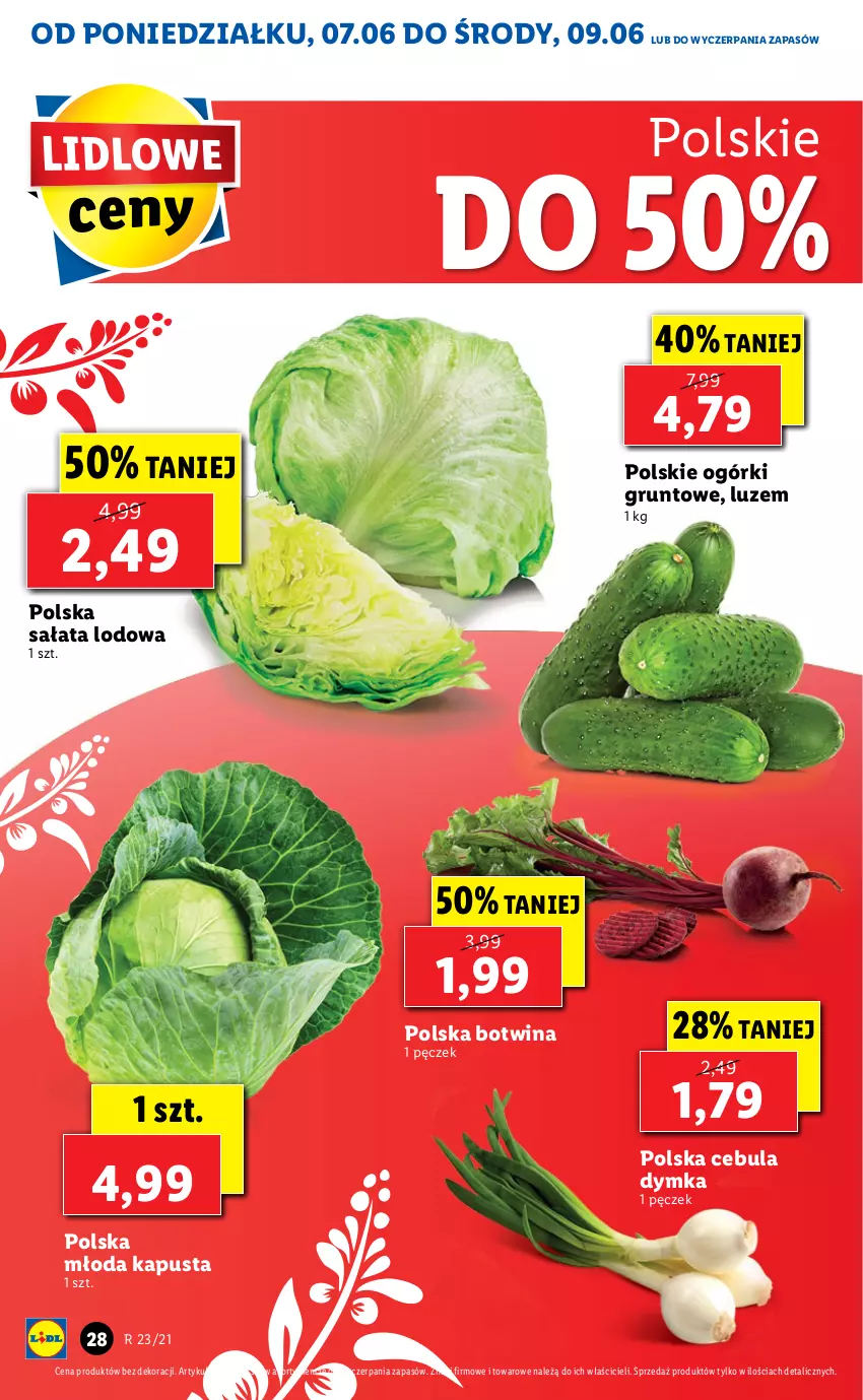 Gazetka promocyjna Lidl - GAZETKA - ważna 07.06 do 09.06.2021 - strona 28 - produkty: Cebula, Grunt, Sałat, Sałata lodowa