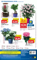 Gazetka promocyjna Lidl - GAZETKA - Gazetka - ważna od 09.06 do 09.06.2021 - strona 55 - produkty: Sok, Cień, O nas, Bukiet, Ogród
