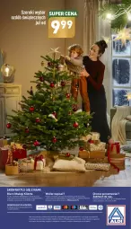 Gazetka promocyjna Aldi - Katalog świąteczny - Gazetka - ważna od 24.12 do 24.12.2022 - strona 40 - produkty: Por, O nas, Biuro