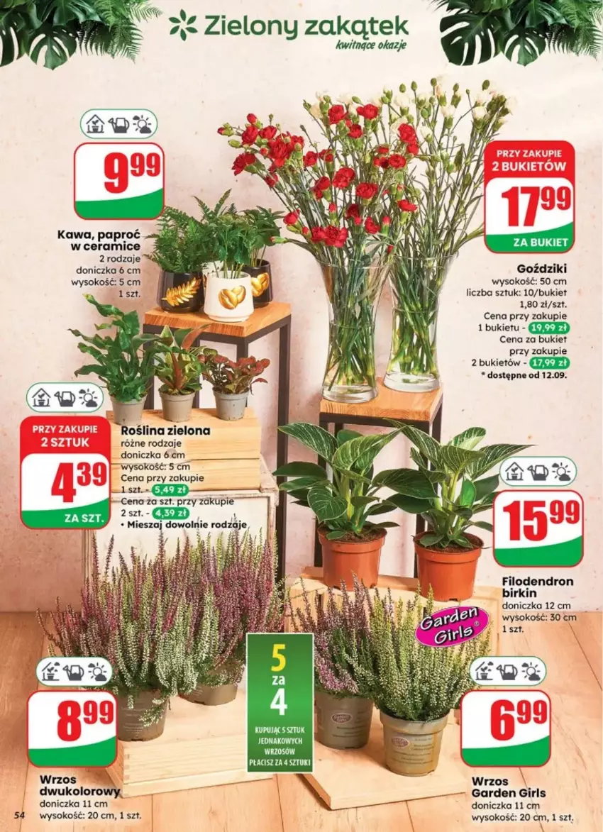 Gazetka promocyjna Dino - ważna 10.09 do 16.09.2025 - strona 50 - produkty: AEG, Sok