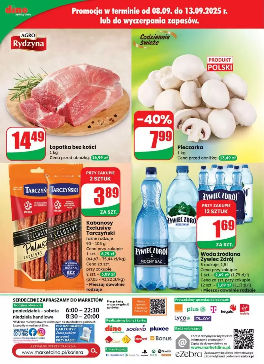 Gazetka promocyjna Dino - ważna 10.09 do 16.09.2025 - strona 70 - produkty: JBL, Kabanos, Perfum, Ser, Tarczyński, Tera