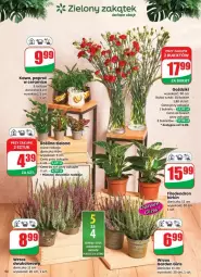 Gazetka promocyjna Dino - Gazetka - ważna od 16.09 do 16.09.2025 - strona 50 - produkty: Sok, AEG