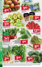 Gazetka promocyjna Stokrotka - Market - Gazetka - ważna od 22.04 do 22.04.2025 - strona 14 - produkty: Warzywa, Por, Gra, Sałata masłowa, Salsa, Sałat, Kiełki, Owoce, Natka pietruszki, Masło, Mango, Pomidory, Rzodkiewka, Mięso, Jabłka