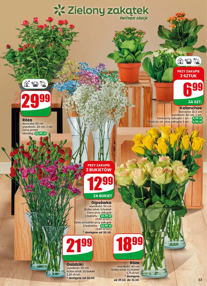 Gazetka promocyjna Dino - Gazetka 44 / 2026 - ważna 28.10 do 03.11.2026 - strona 53 - produkty: Bukiet, Kalanchoe, Róża, Sok