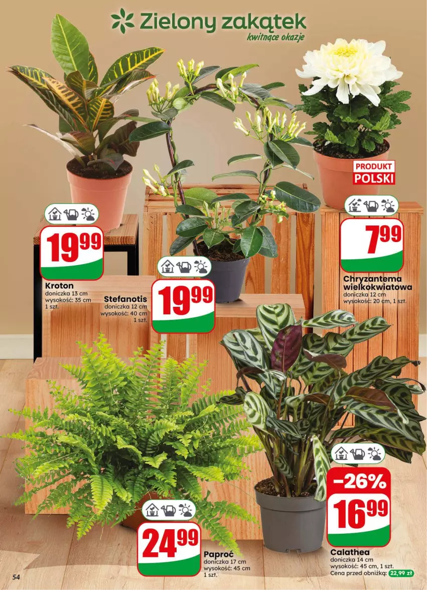 Gazetka promocyjna Dino - Gazetka 44 / 2026 - ważna 28.10 do 03.11.2026 - strona 54 - produkty: Fa, Sok