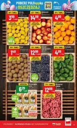Gazetka promocyjna PoloMarket - Gazetka - ważna od 18.03 do 18.03.2025 - strona 14 - produkty: Por, Tera, Wibo, Fa