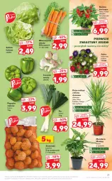 Gazetka promocyjna Kaufland - OFERTA TYGODNIA - Gazetka - ważna od 01.09 do 01.09.2021 - strona 21 - produkty: Por, Sałata lodowa, Papryka, Czosnek, Ziemniaki, Tera, Sałat, Bukiet, Fa